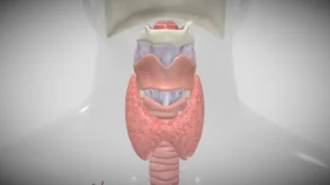 Exame paratormônio (PTH)