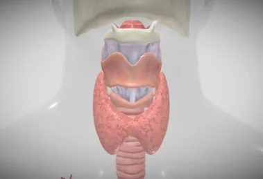 Exame paratormônio (PTH)