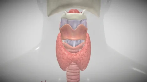 Exame paratormônio (PTH)