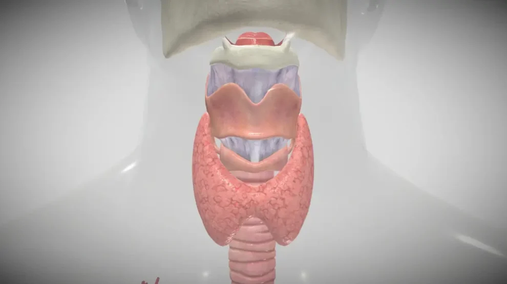 Exame paratormônio (PTH)