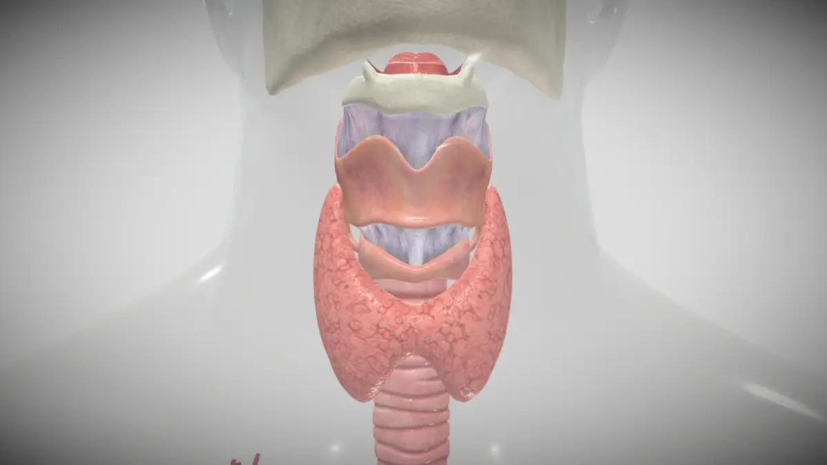 Exame paratormônio (PTH)