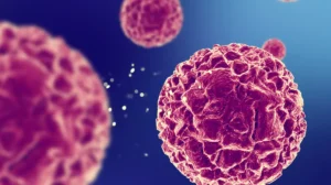HPV - Informações que você precisa saber