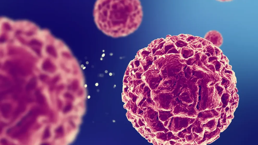 HPV - Informações que você precisa saber