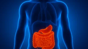 Prevenção do câncer colorretal: alimentação saudável e exames que salvam vidas