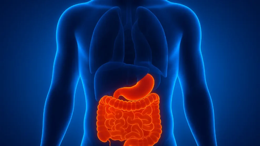 Prevenção do câncer colorretal: alimentação saudável e exames que salvam vidas