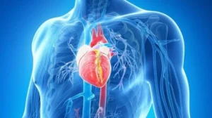 Cinco principais distúrbios do coração e vasos sanguíneos